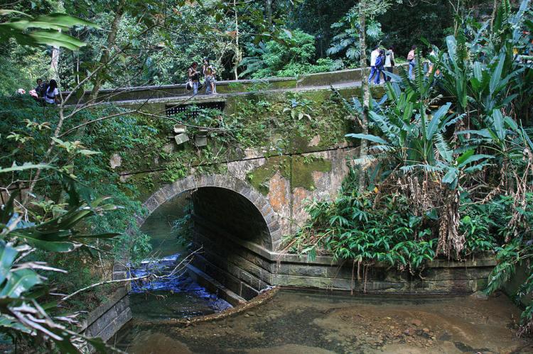 Tijuca Forest - Job de Alcântara Bridge