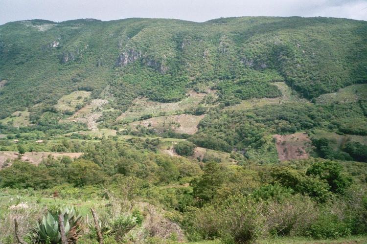 Forest fragmentation on Celaque's slopes due to logging, Honduras
