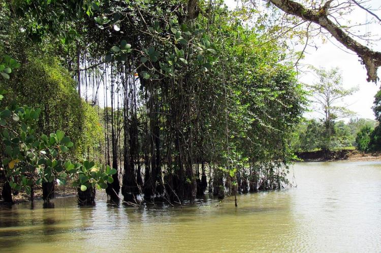Frio river, Costa Rica