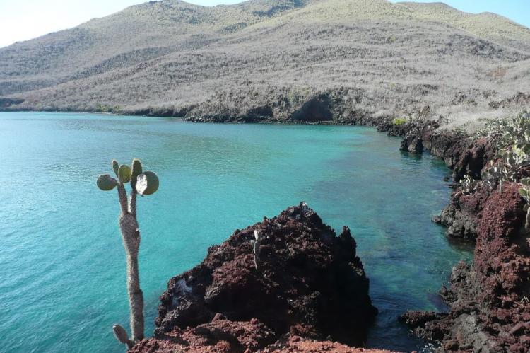 Galapagos Islands, Ecuador