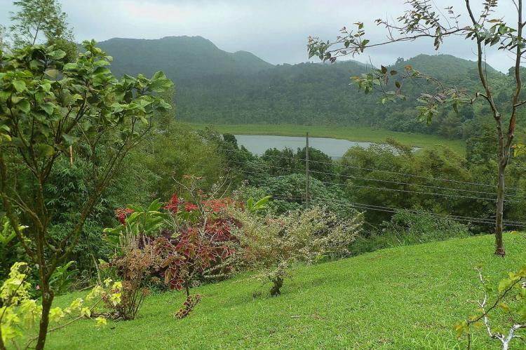 Grand Etang Lake, Grand Etang National Park and Forest Reserve (Grenada)