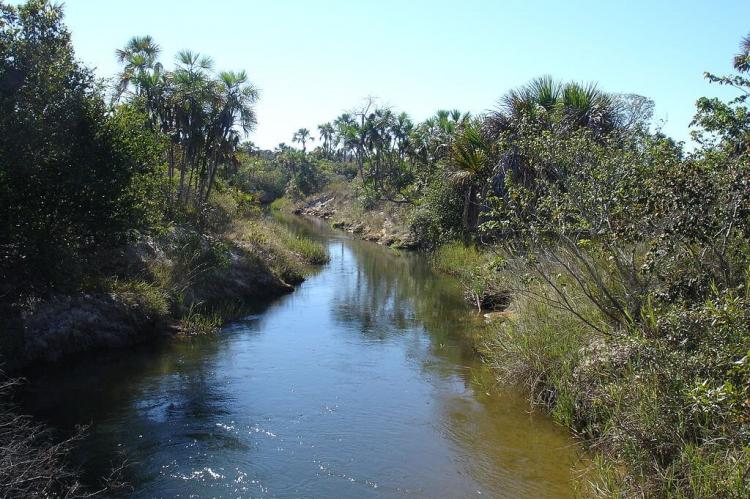 Grande Sertão Veredas National Park landscape, Brazil