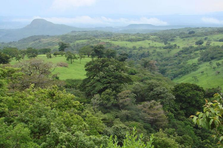 A Guanacaste Portrait From Bella Vista Lodge, Liberia (Costa Rica)