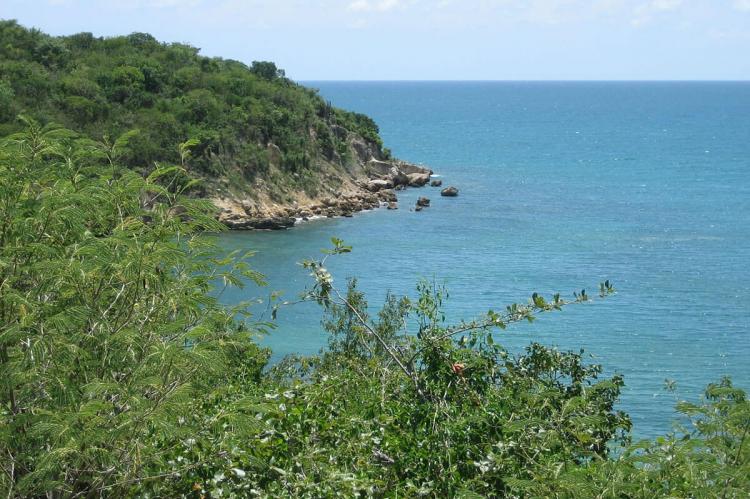Guánica State Forest, Puerto Rico