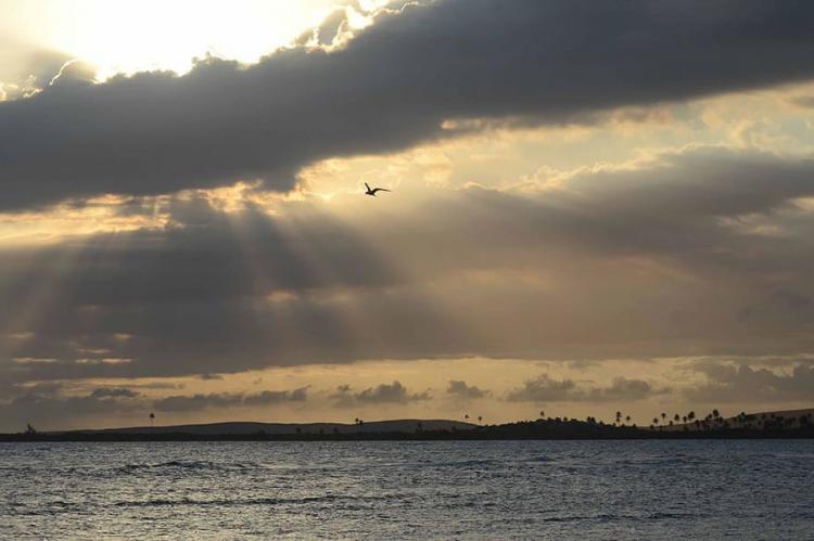 Sunset, Guánica State Forest, Puerto Rico