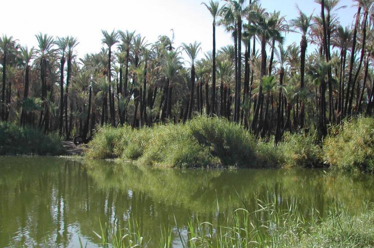 Islands and Protected Areas of the Gulf of California (Mexico)