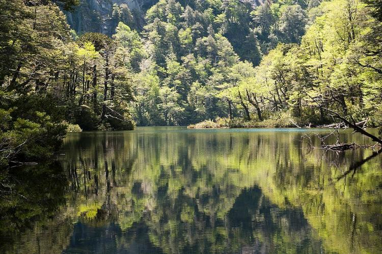 Huerquehue National Park (Chile)