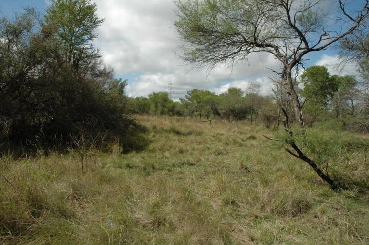 Humid Chaco in Chaco National Park, Argentina