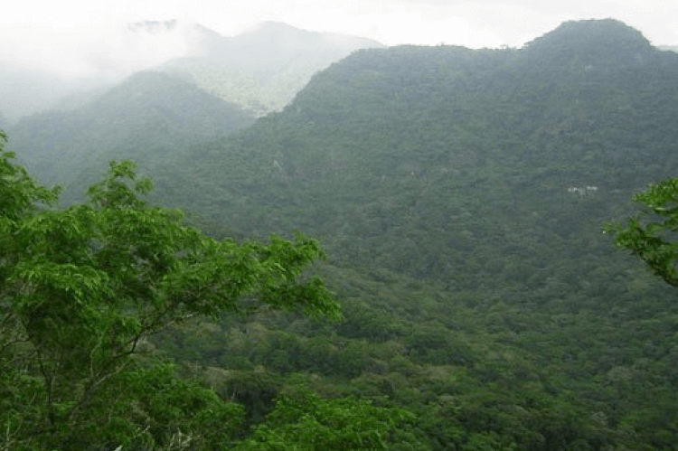 Panorama of El Imposible National Park, El Salvador