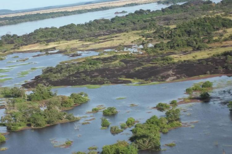 Orinoco flooded savannas, Venezuela