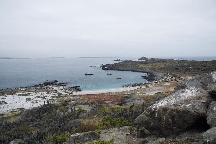 Damas Island. Humboldt Penguin National Reserve, Coquimbo Region, Chile.
