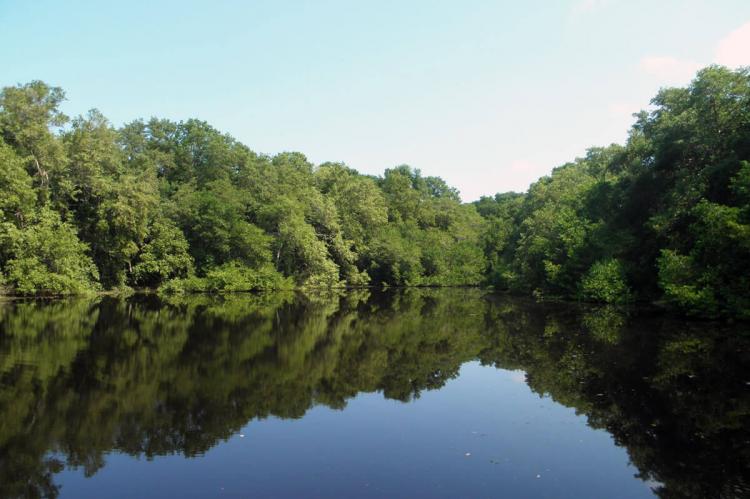 Isla de Salamanca (Colombia)