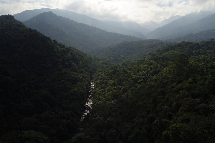 Serrinha do Alambari mountain range, Itatiaia National Park, Brazil