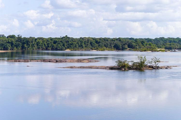 Burro-Burro River flows through the Iwokrama Rainforest, Guyana