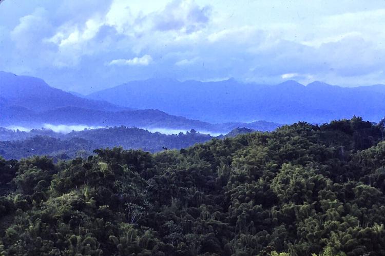 John Crow Mountains, Jamaica