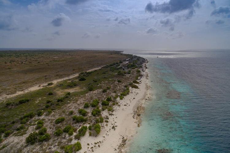 Vegetation and shoreline of Klein Bonaire