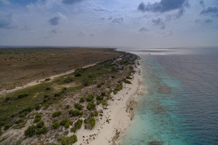 Vegetation and shoreline of Klein Bonaire