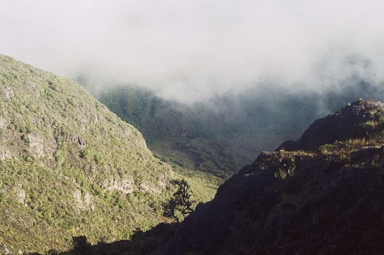 La Amistad Panama Biosphere Reserve - via Wikimedia Commons