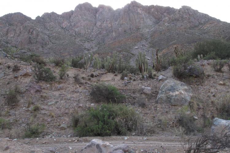 La Campana, Coquimbo Region, Chile