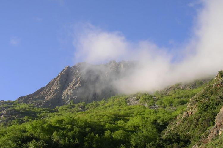 Parque Nacional La Campana, Chile