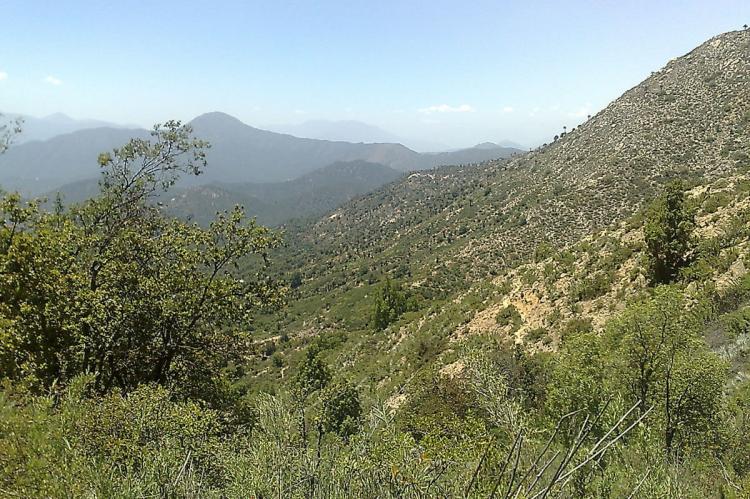 La Campana National Park, Chile