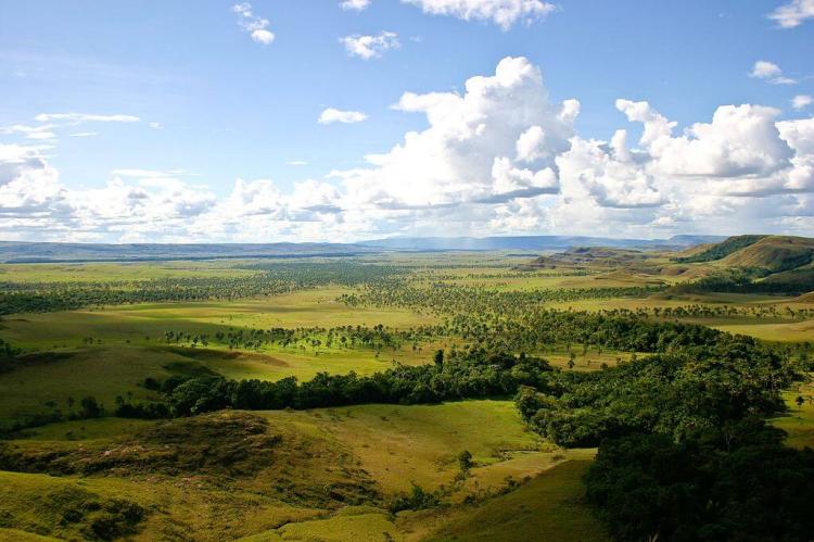 La Gran Sabana (Venezuela)