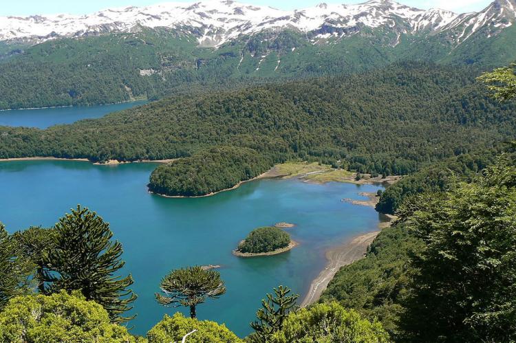 View over Lago Conguillío, Conguillío National Park, Chile
