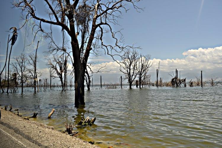 Lake Enriquillo, Dominican Republic