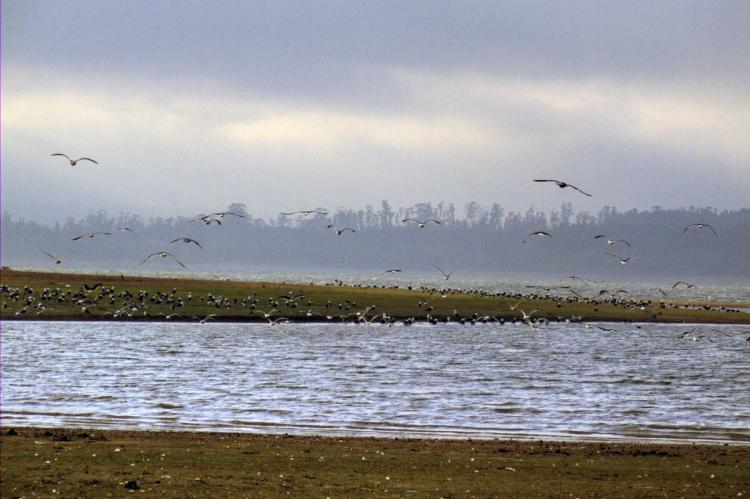 Lago Peñuelas National Reserve, Chile