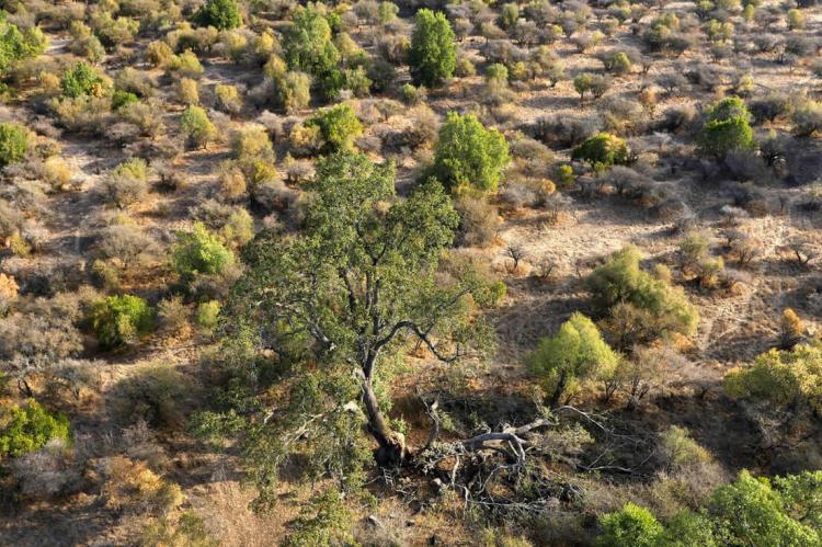 Lago Peñuelas National Reserve, Chile