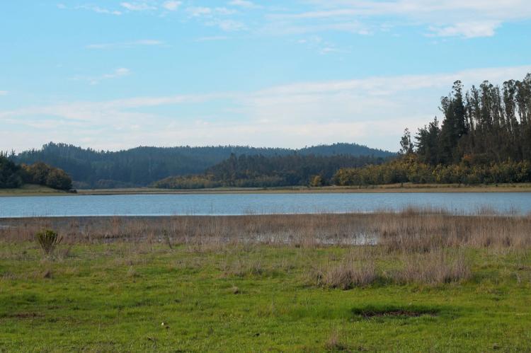Lago Peñuelas National Reserve, Chile