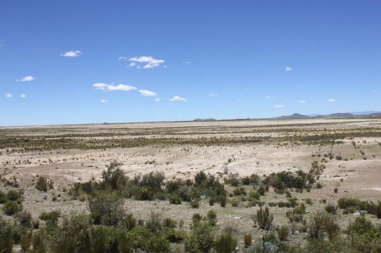 Lake Poopó, in the background, early 2014 (Bolivia)