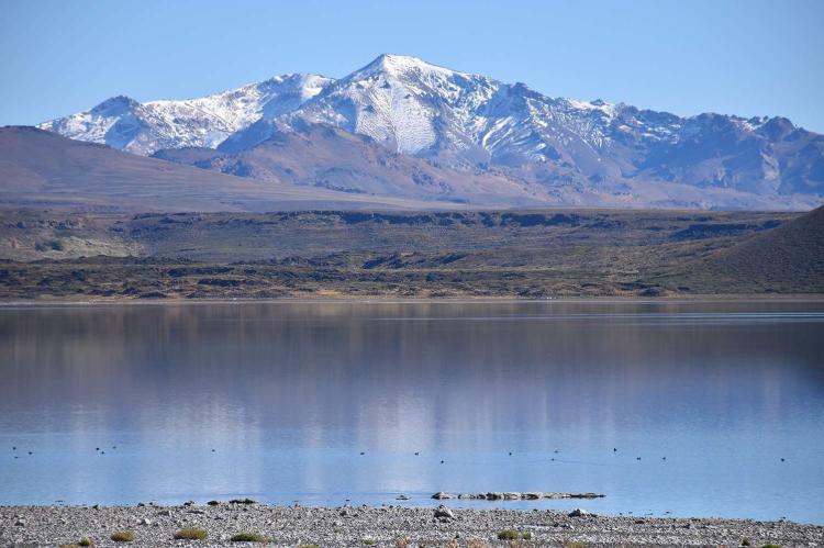 Laguna Blanca, Laguna Blanca National Park, Argentina