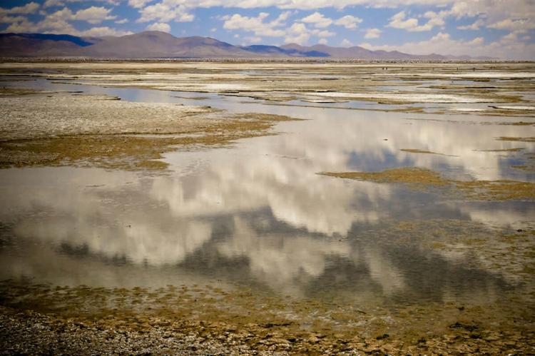Laguna de los Pozuelos, Argentina