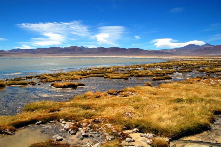 Laguna del Nigro Francisco, Nevado Tres Cruces National Park, Chile