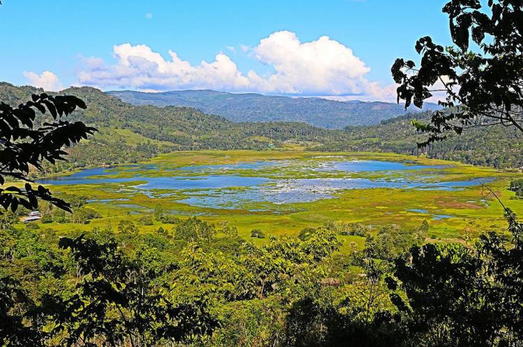 Humedal Laguna El Oconal, Oxapampa-Ashaninka-Yanesha Biosphere Reserve, Peru