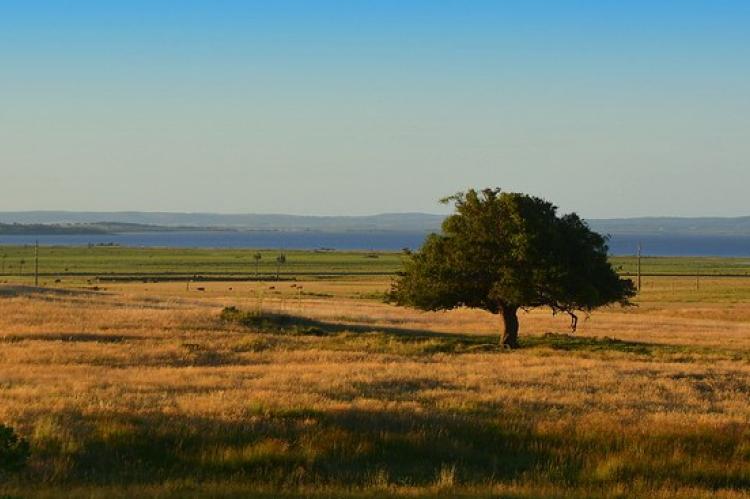 Panorama of Laguna Negra, Rocha, Uruguay