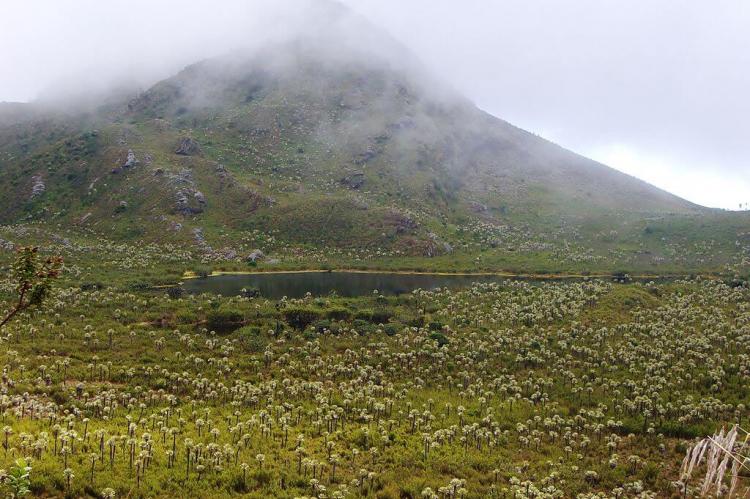 Lagoon in Chingaza National Park, Colombia