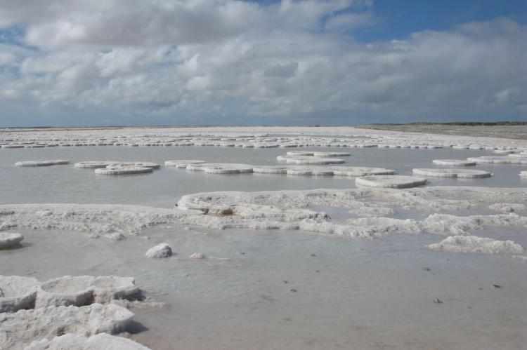 Laguna salada, Biosphere Reserve, El Vizcaino, Baja California, Mexico