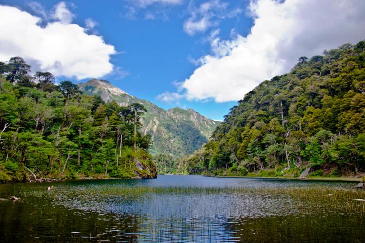 Toro Lake, Huerquehue National Park (Chile)
