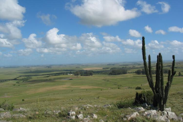 Landscape of northeastern Uruguay
