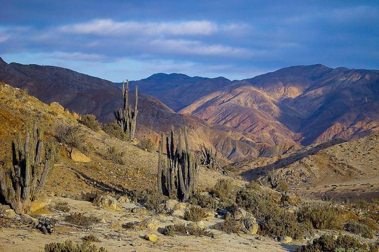 Interior landscape, Pan de Azúcar National Park, Chile
