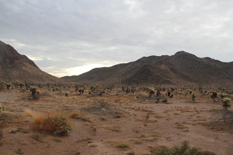 Landscape of the El Pinacate and Gran Desierto de Altar Biosphere Reserve, Mexico