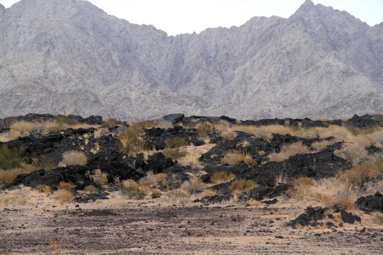 Landscape of the El Pinacate and Gran Desierto de Altar Biosphere Reserve, Mexico