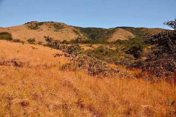Landscape in Rincon de la Vieja Volcano National Park, Costa Rica