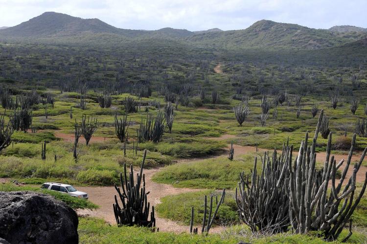 Landscape, Washington Slagbaai National Park, Bonaire