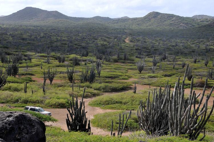 Landscape, Washington Slagbaai National Park, Bonaire 