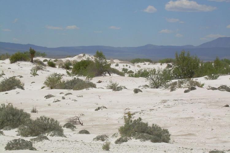 View of Dunas de Yeso in the Cuatrociénegas Flora and Fauna Protection Area, Coahuila, Mexico