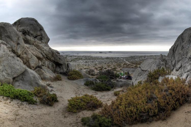 Parque Nacional Llanos del Challe, Carrizal Bajo, Chile