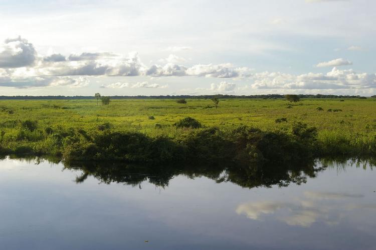 Llanos of Beni, Bolivia